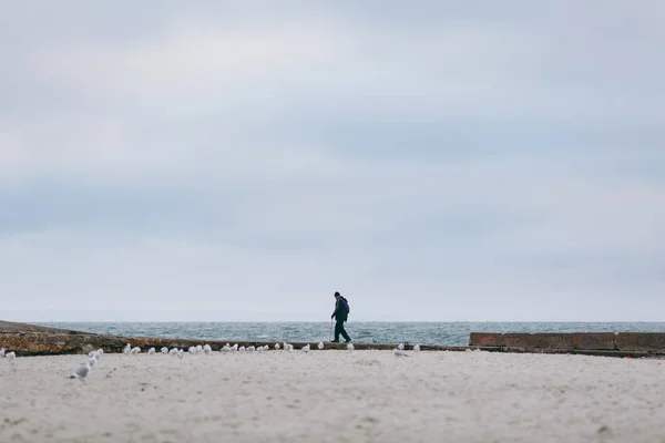 Old man walking alone near the seashore at sunset, Seagulls flying on the sea, silhouette. — Stock Photo, Image