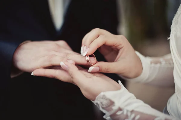 Ringe anziehen. Ringe für das Brautkleid — Stockfoto