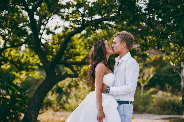 Hermosa pareja de boda en un paseo por el valle —  Fotos de Stock