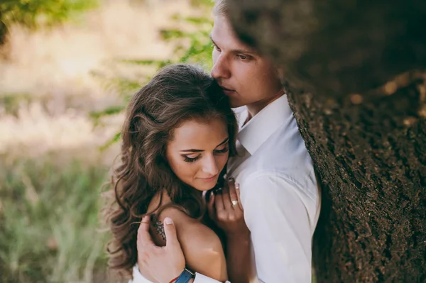 Beautiful wedding couple on a walk in the valley — Stock Photo, Image