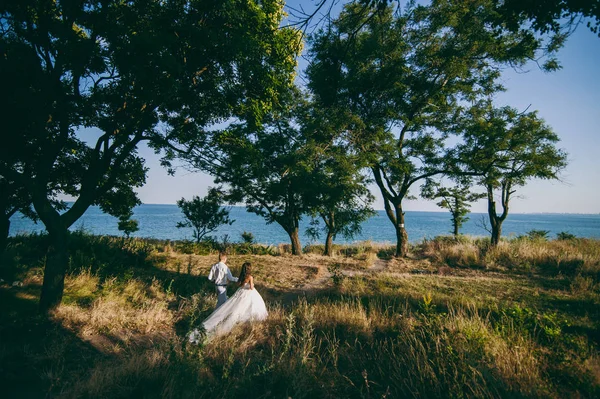 海沿いの散歩に美しい結婚式のカップル — ストック写真