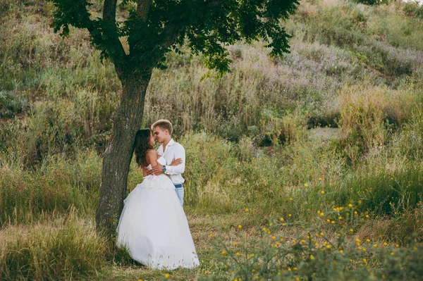 Güzel düğün çifti Vadisi'nde bir yolda
