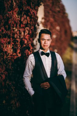 Damat kırmızı yaprakları ile duvara standları