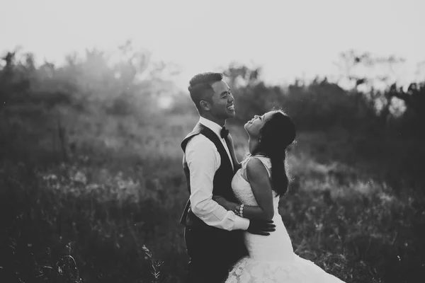 Casamento casal passeando em um vale com grama seca — Fotografia de Stock