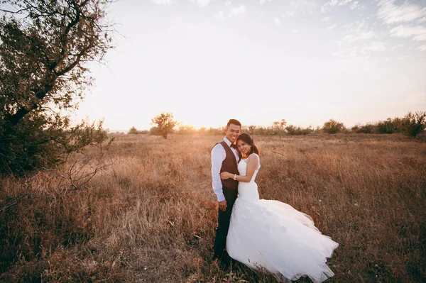Pareja de bodas paseando en un valle con hierba seca —  Fotos de Stock