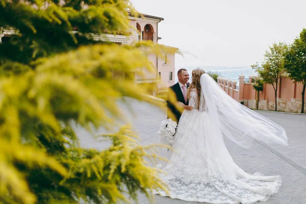 Schönes und verliebtes Hochzeitspaar, das im Freien spaziert — Stockfoto