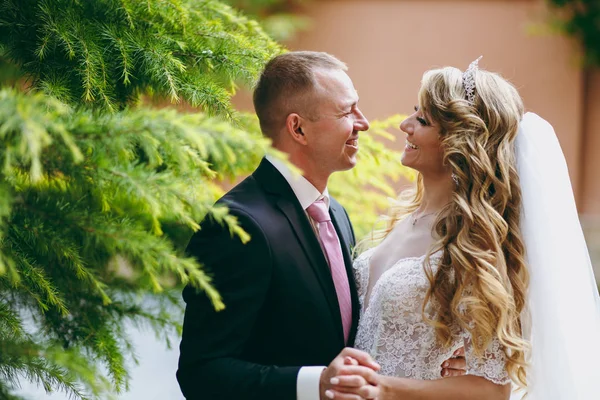 Casal de casamento bonito e apaixonado andando ao ar livre — Fotografia de Stock