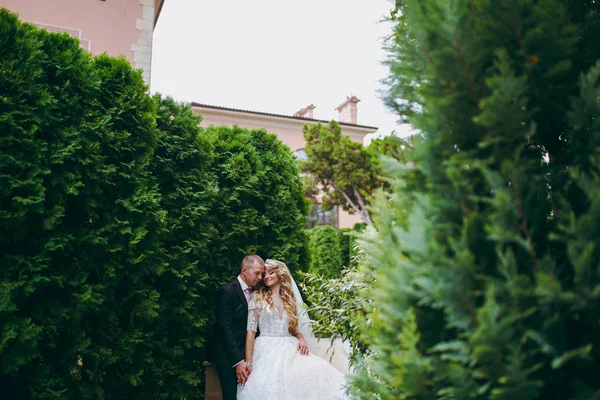 Schönes und verliebtes Hochzeitspaar, das im Freien spaziert — Stockfoto