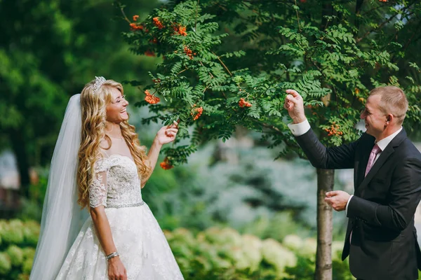 Gyönyörű és szerelmes esküvő házaspár séta kint — Stock Fotó