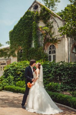 Güzel aşık evlilik çift parkta bir yürüyüş üzerinde