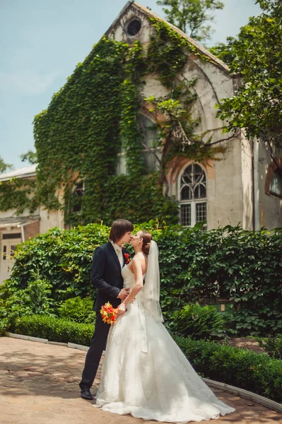 Güzel aşık evlilik çift parkta bir yürüyüş üzerinde