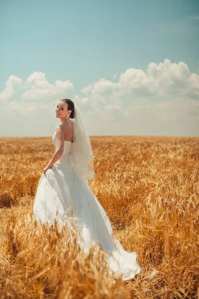 Belle mariée élégante dans un champ de blé — Photo