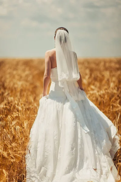 Belle mariée élégante dans un champ de blé — Photo