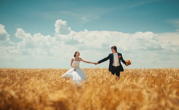 Hermosa pareja de boda en un campo de trigo — Foto de Stock