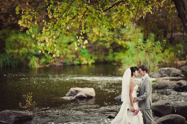 Liebendes Hochzeitspaar steht am Wasser — Stockfoto