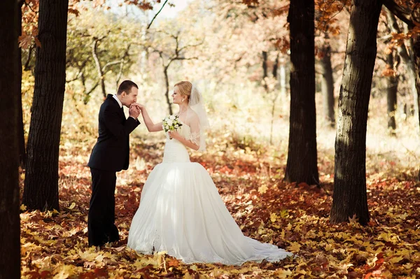 Matrimonio coppia su una passeggiata nel parco — Foto Stock