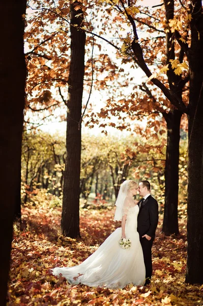 Matrimonio coppia su una passeggiata nel parco — Foto Stock