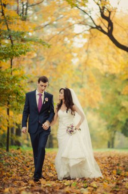 Güzel düğün çift sonbahar parkta bir yürüyüş üzerinde