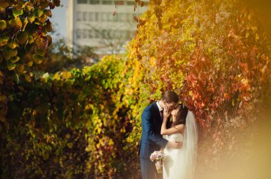 Güzel düğün çift sonbahar parkta bir yürüyüş üzerinde