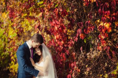 Güzel düğün çift sonbahar parkta bir yürüyüş üzerinde