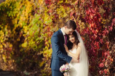 Güzel düğün çift sonbahar parkta bir yürüyüş üzerinde