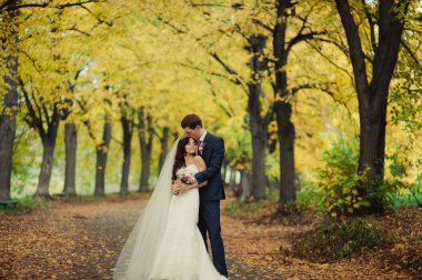 Güzel düğün çift sonbahar parkta bir yürüyüş üzerinde