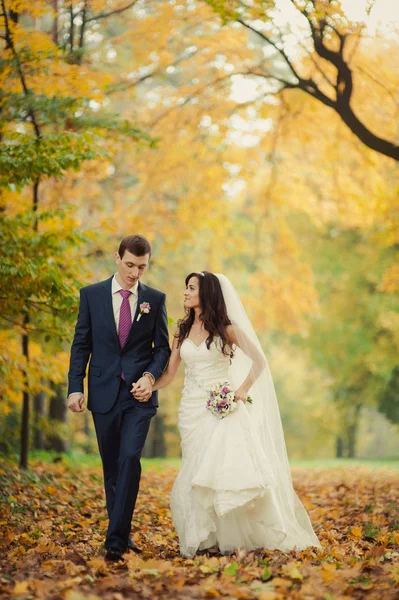 Schönes Hochzeitspaar beim Spaziergang im Herbstpark — Stockfoto