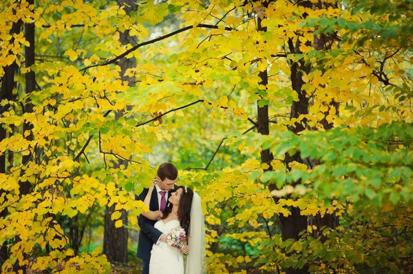 Schönes Hochzeitspaar beim Spaziergang im Herbstpark — Stockfoto