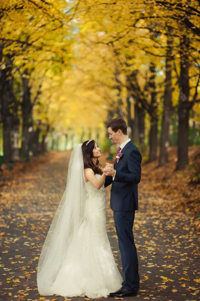 Beautiful wedding couple on a walk in autumn park — Stock Photo, Image