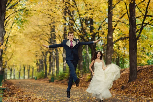 Bella coppia di nozze in una passeggiata nel parco autunnale — Foto Stock