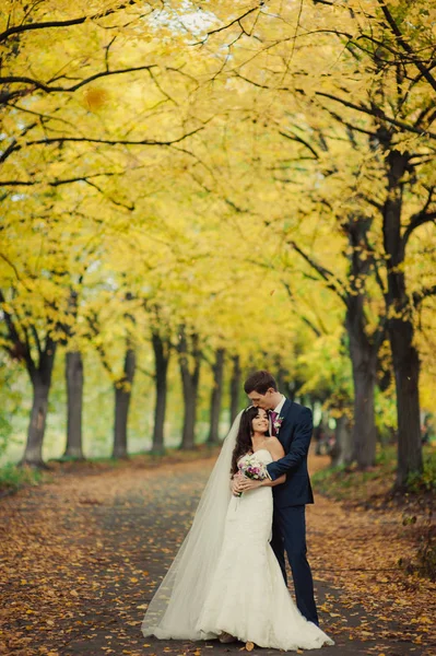 Hermosa pareja de boda en un paseo en el parque de otoño —  Fotos de Stock