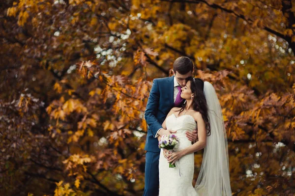 Hermosa pareja de boda en un paseo en el parque de otoño —  Fotos de Stock