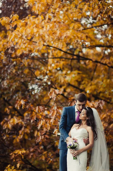 美丽的新婚夫妇在秋天公园散步 — 图库照片