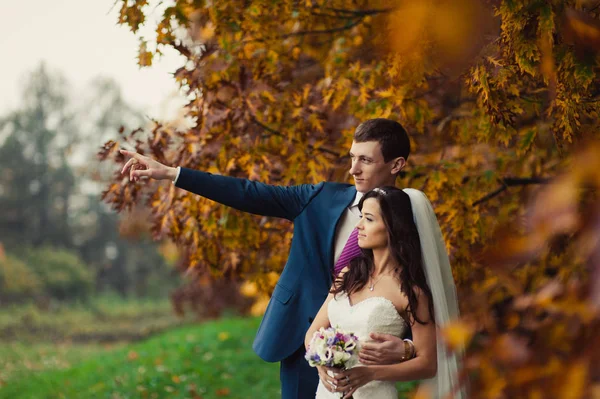 Красивая свадебная пара на прогулке в осеннем парке — стоковое фото