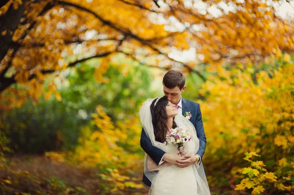 Casal bonito em um passeio no parque de outono — Fotografia de Stock