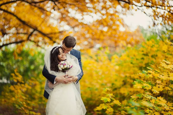 Hermosa pareja de boda en un paseo en el parque de otoño — Foto de Stock