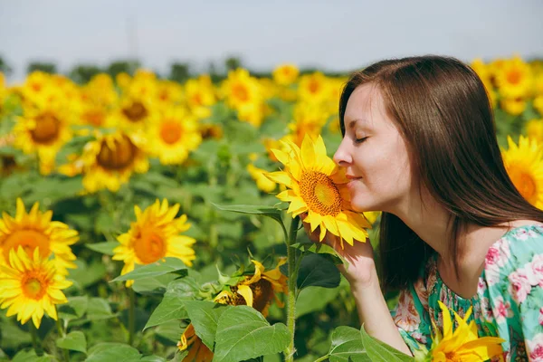 Bruna ragazza annusare un girasole nel campo — Foto Stock