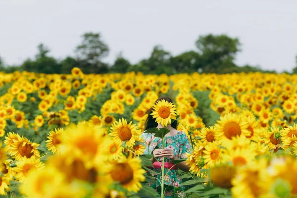 Bruna ragazza in un campo di girasoli — Foto Stock