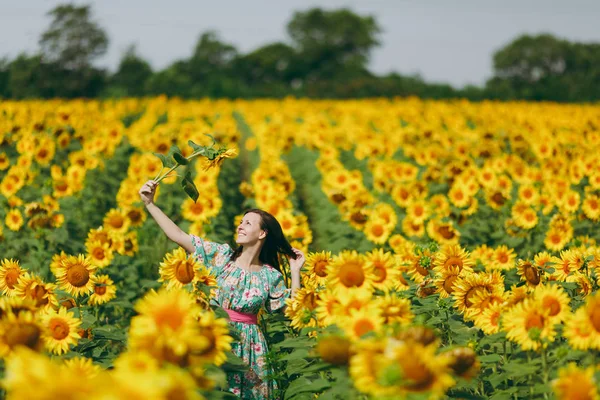 Bruna ragazza in un campo di girasoli come sotto la doccia — Foto Stock