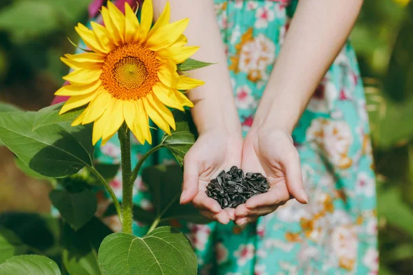 Ragazza in abito verde tiene semi di girasole in mano — Foto Stock