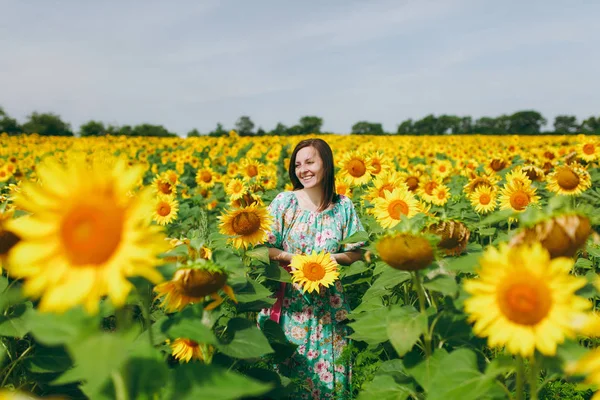 Bruna ragazza in un campo di girasoli — Foto Stock