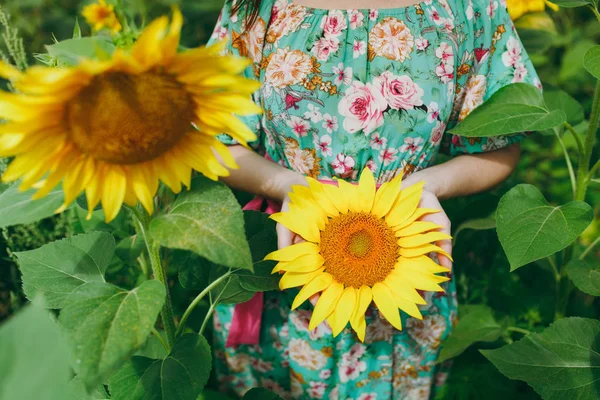 Flicka i en klänning har en gul solros i händerna — Stockfoto