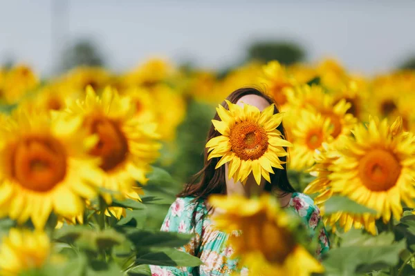 Bruna ragazza in un campo di girasoli — Foto Stock