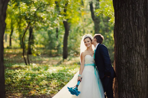 Amar pareja de boda en un paseo por el parque — Foto de Stock