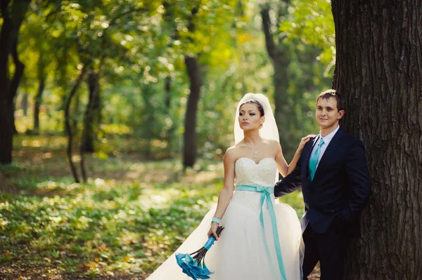Amar pareja de boda en un paseo por el parque — Foto de Stock