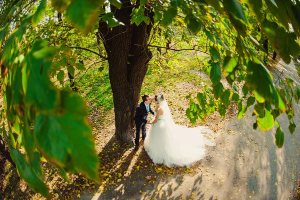 爱婚礼情侣在公园里散步 — 图库照片