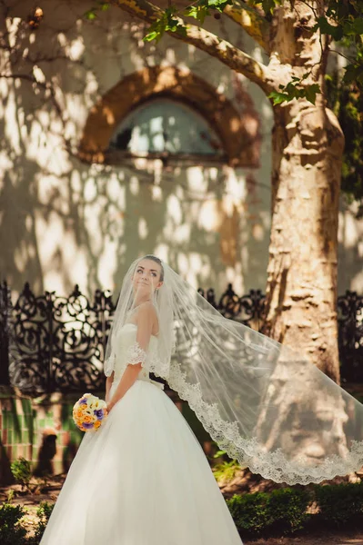 Braut versteckt durch einen Schleier für einen Spaziergang im Park — Stockfoto