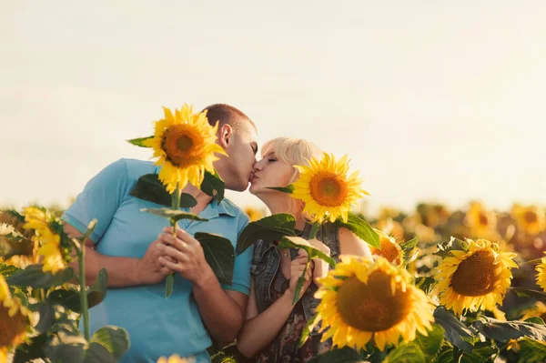 Пара влюбленных в поле подсолнухов — стоковое фото