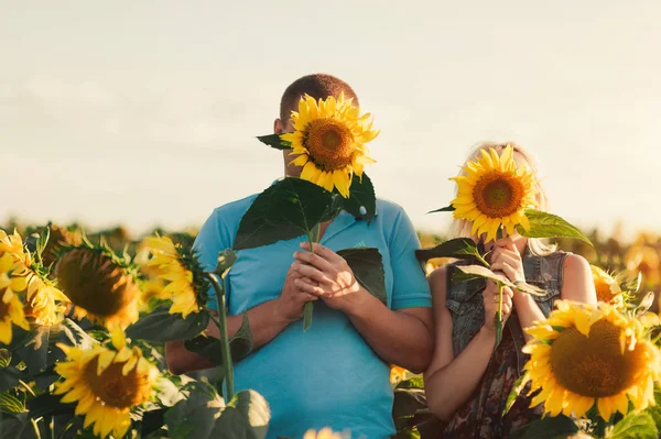 Пара влюбленных в поле подсолнухов — стоковое фото