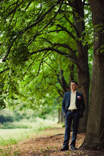 Retrato de novio en un parque en el día de la boda — Foto de Stock